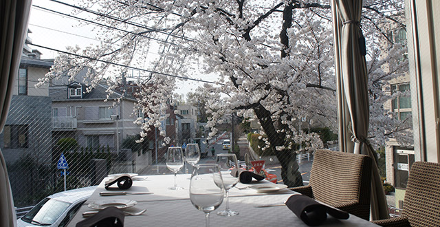 店内から桜