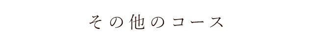 その他のコース